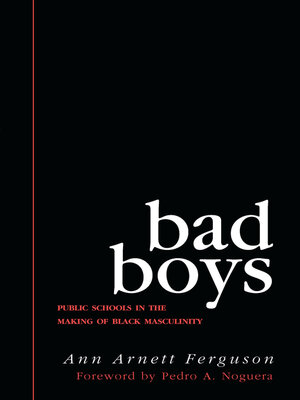 cover image of Bad Boys